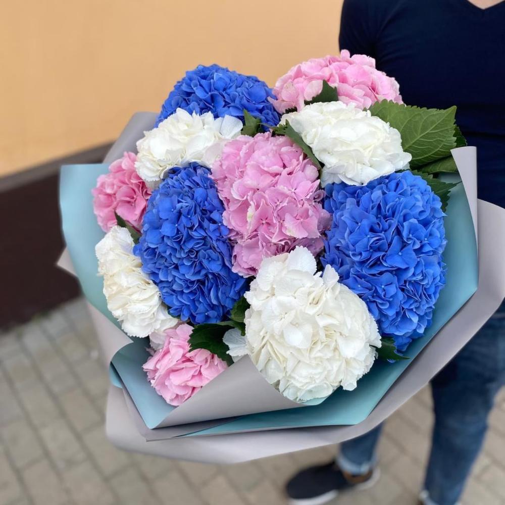 11 гортензия