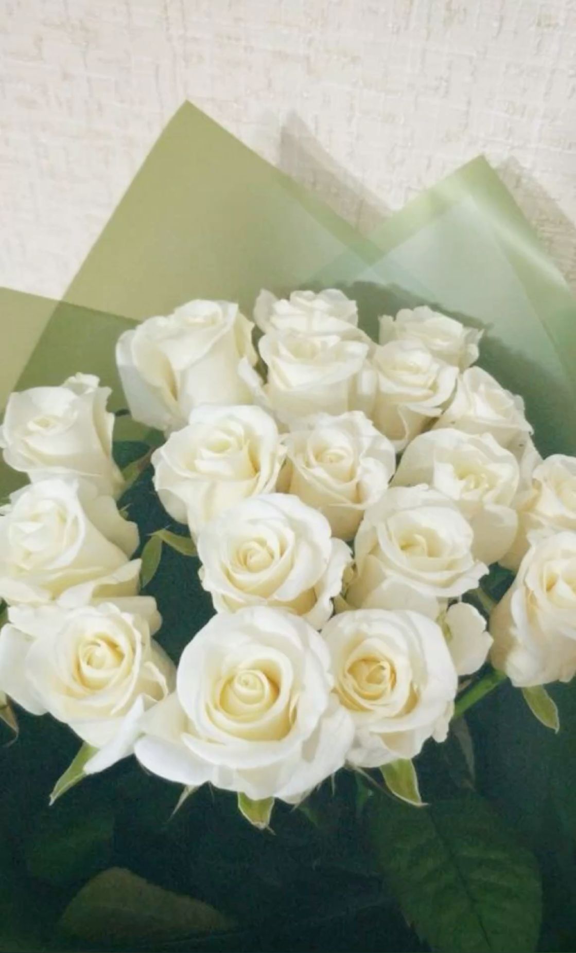 25 белых роз