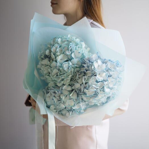 Air watercolor with hydrangea