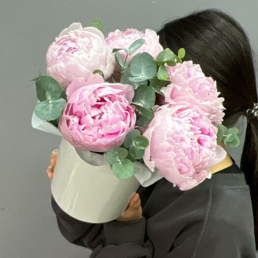 Piono Sarah Bernard in a hat box 5 pcs😻