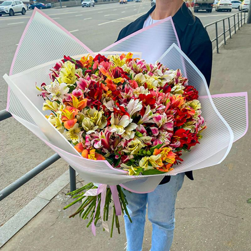 51 альстромерии