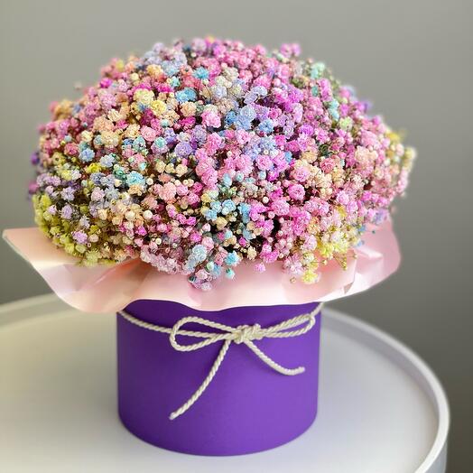 Multi -colored gypsophila in the box