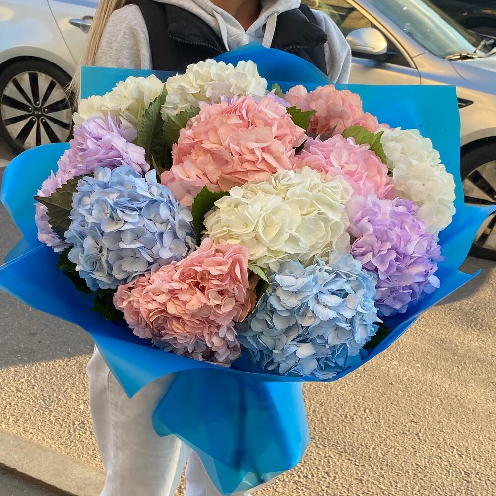 11 гортензия