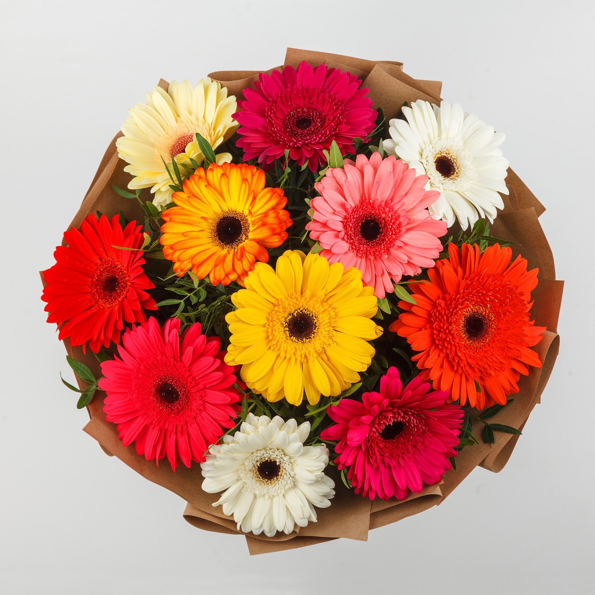11 gerberas