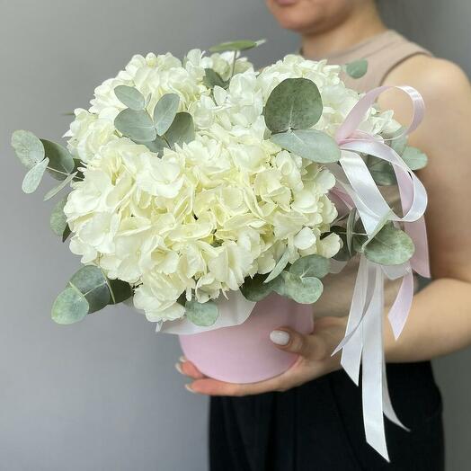 Snow -white hydrangeas with eucalyptus, in a hat box🤗 (0003)