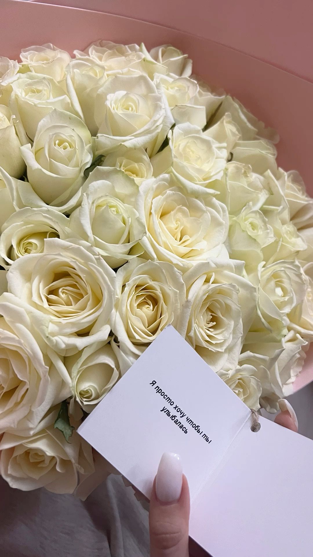 15 white roses
