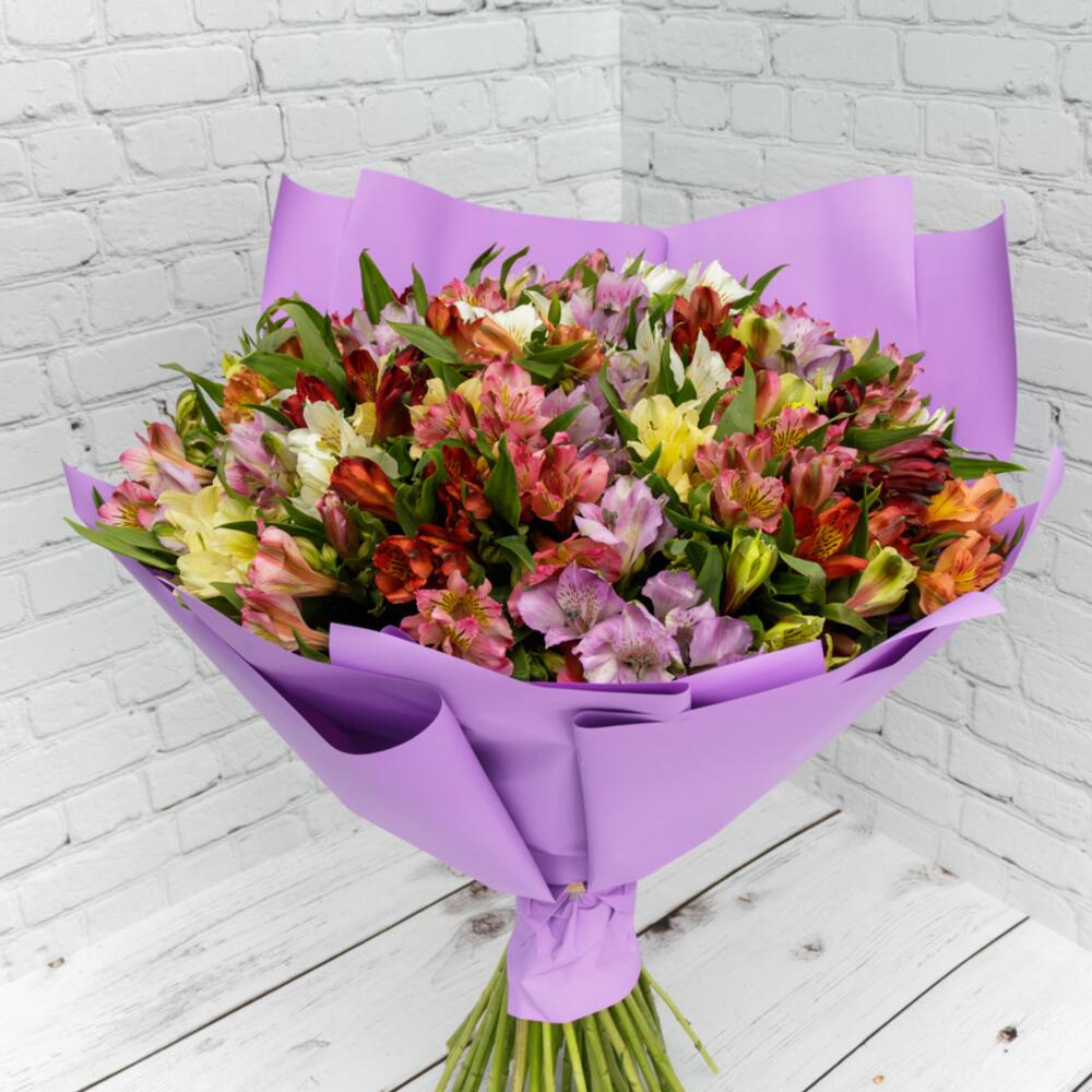 51 альстромерии