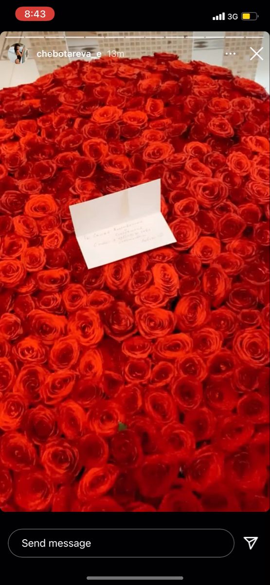 Bouquet of 1001 roses for an unforgettable confession 🌹