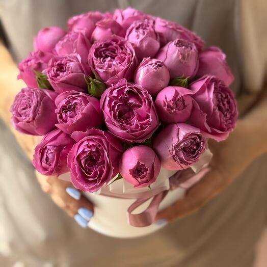 Пионовидная кустовая Роза в коробке «Мини комплимент»