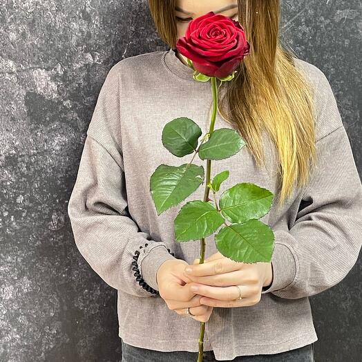 Красная Роза 75 см