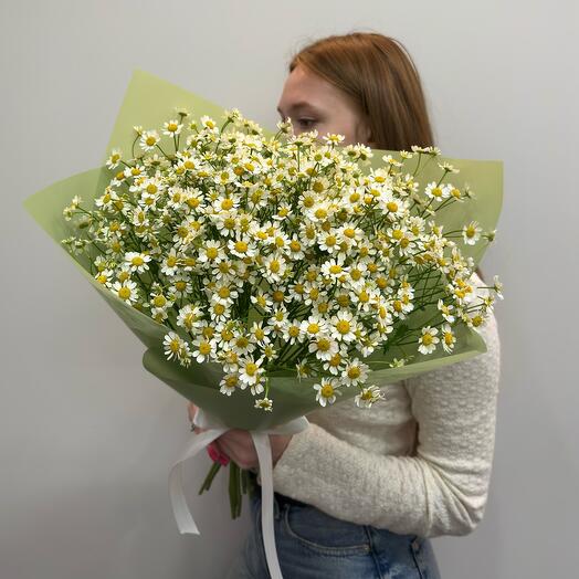 Букет кустовых ромашек 9