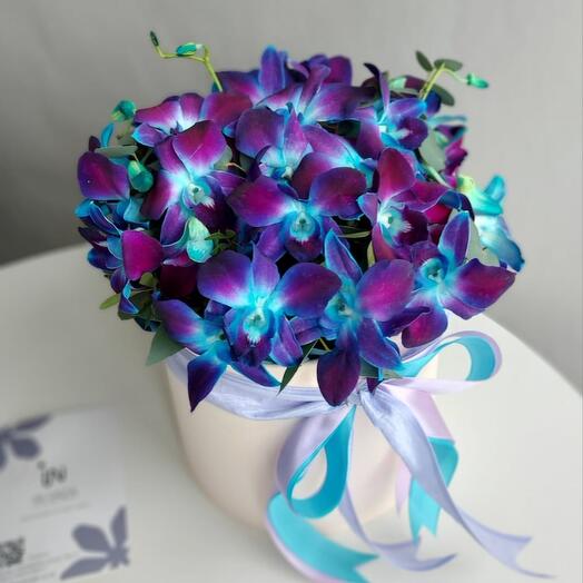 Space orchids in a hat box. 35 pcs