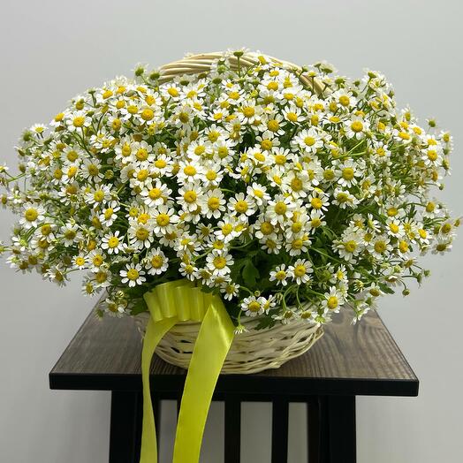 Basket with field daisies