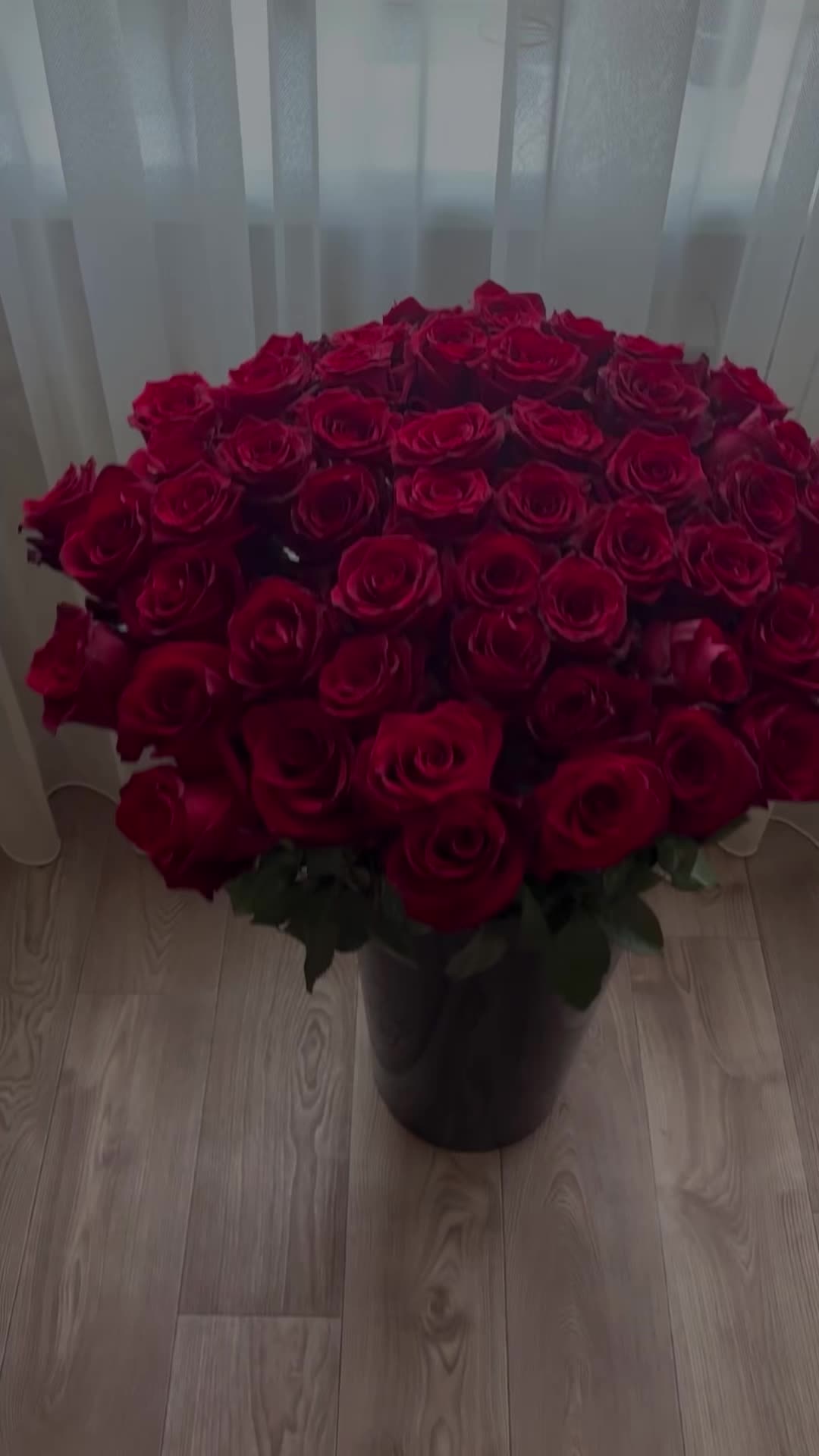 1001 красная роза эксклюзивная 🌹🔥