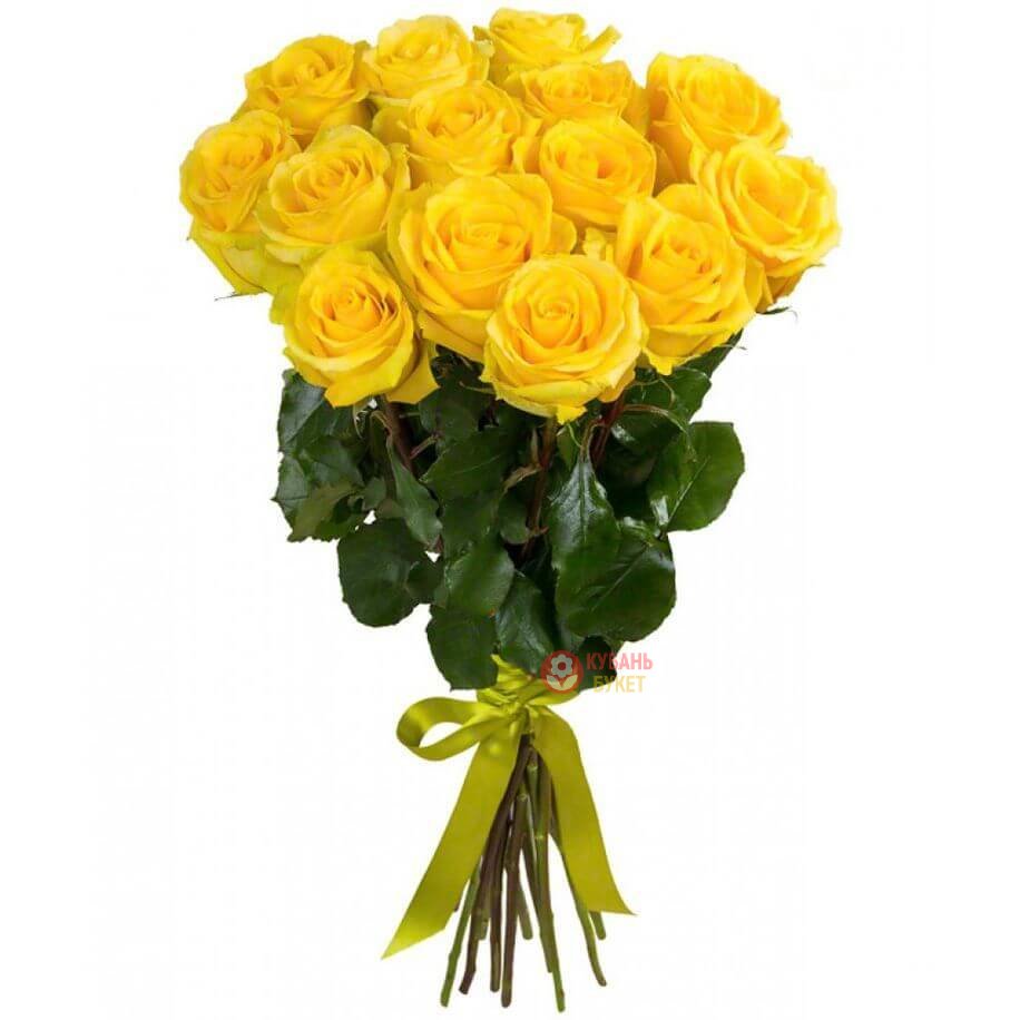 15 yellow roses