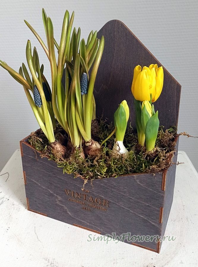 Яркий цветочный ящик 🌸🌿