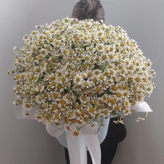 Цветы в коробке из каммилы ромашки 190