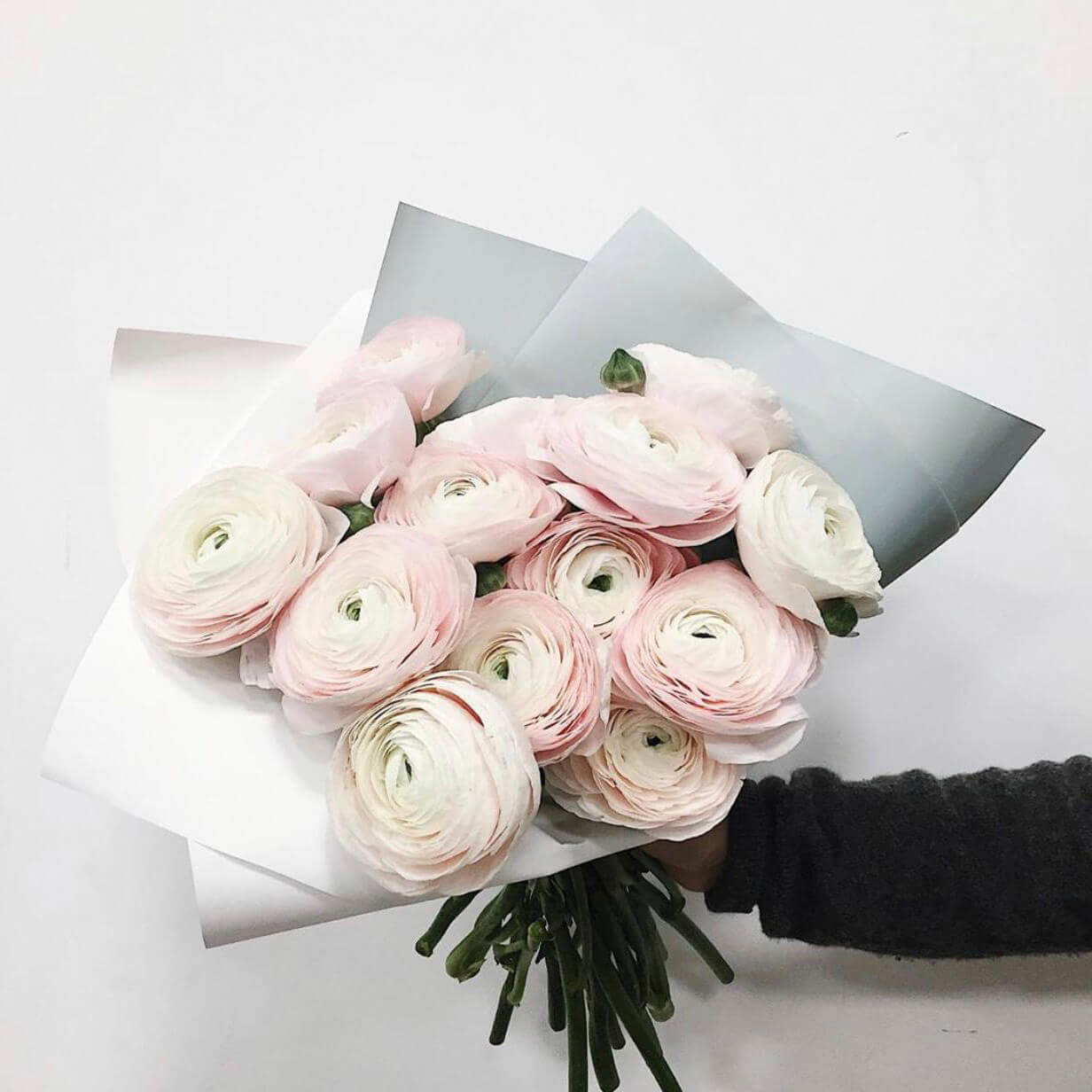 7 ранункулюс