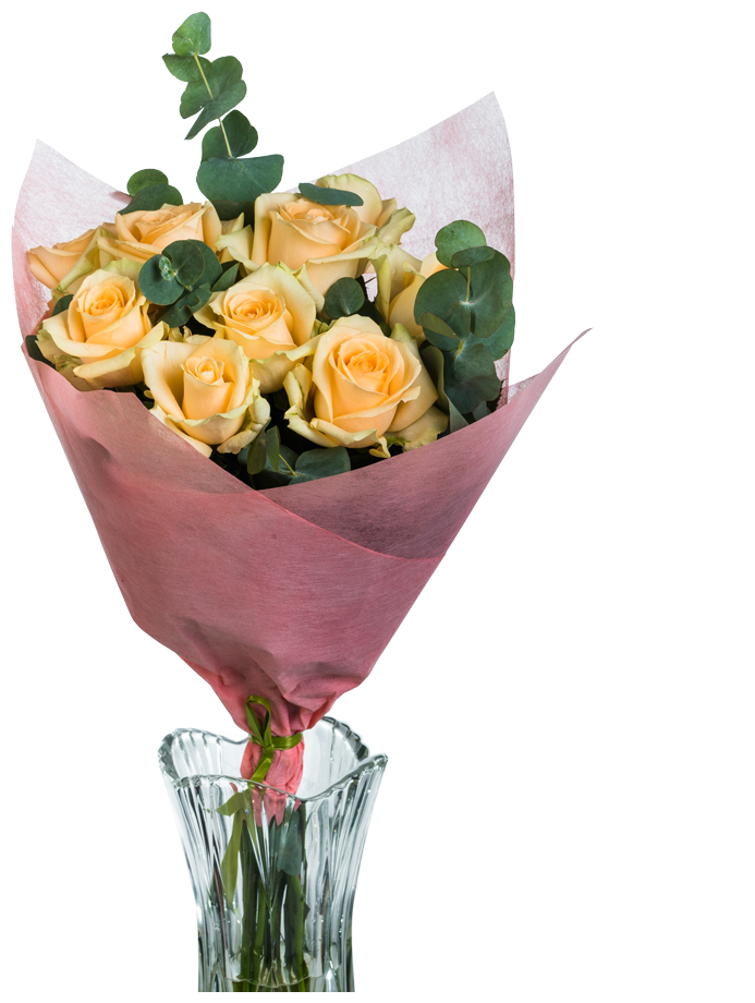 9 кремовых роз