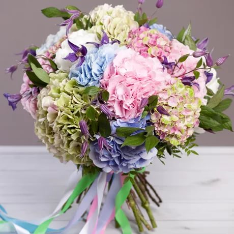 31 hydrangea