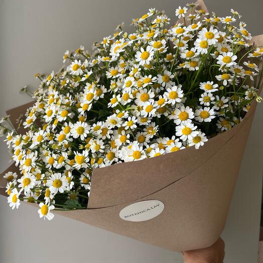 Ромашки, 21 шт в крафте
