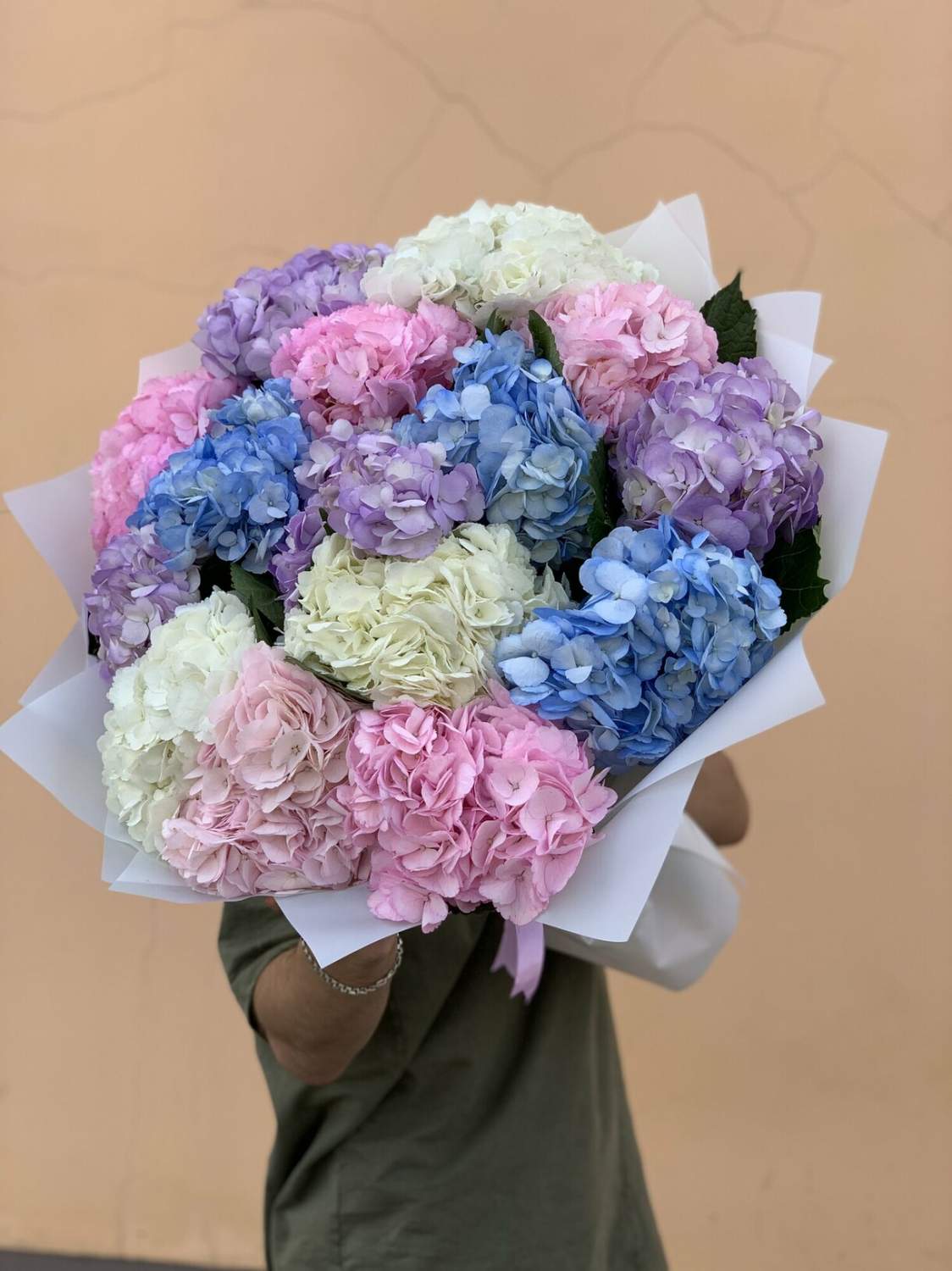 15 hydrangea