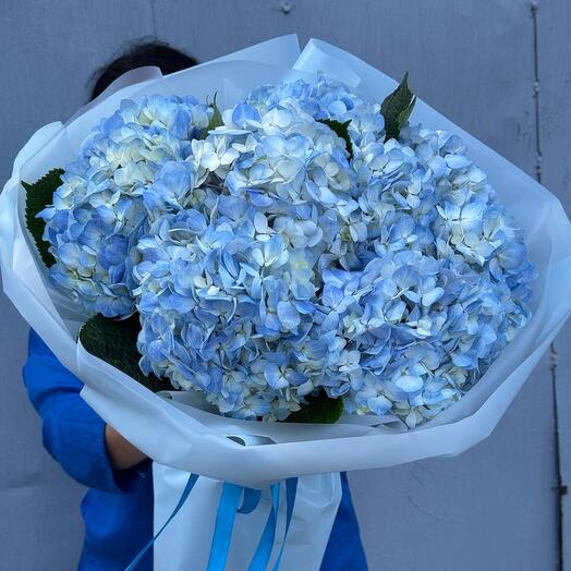 Букет из 9 голубых гортензий