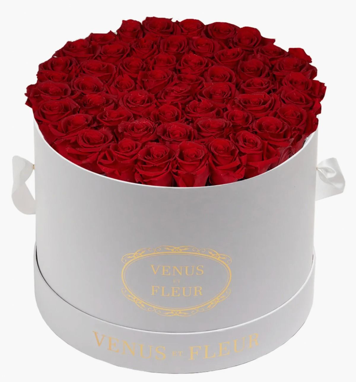 Spring flower box 🌼