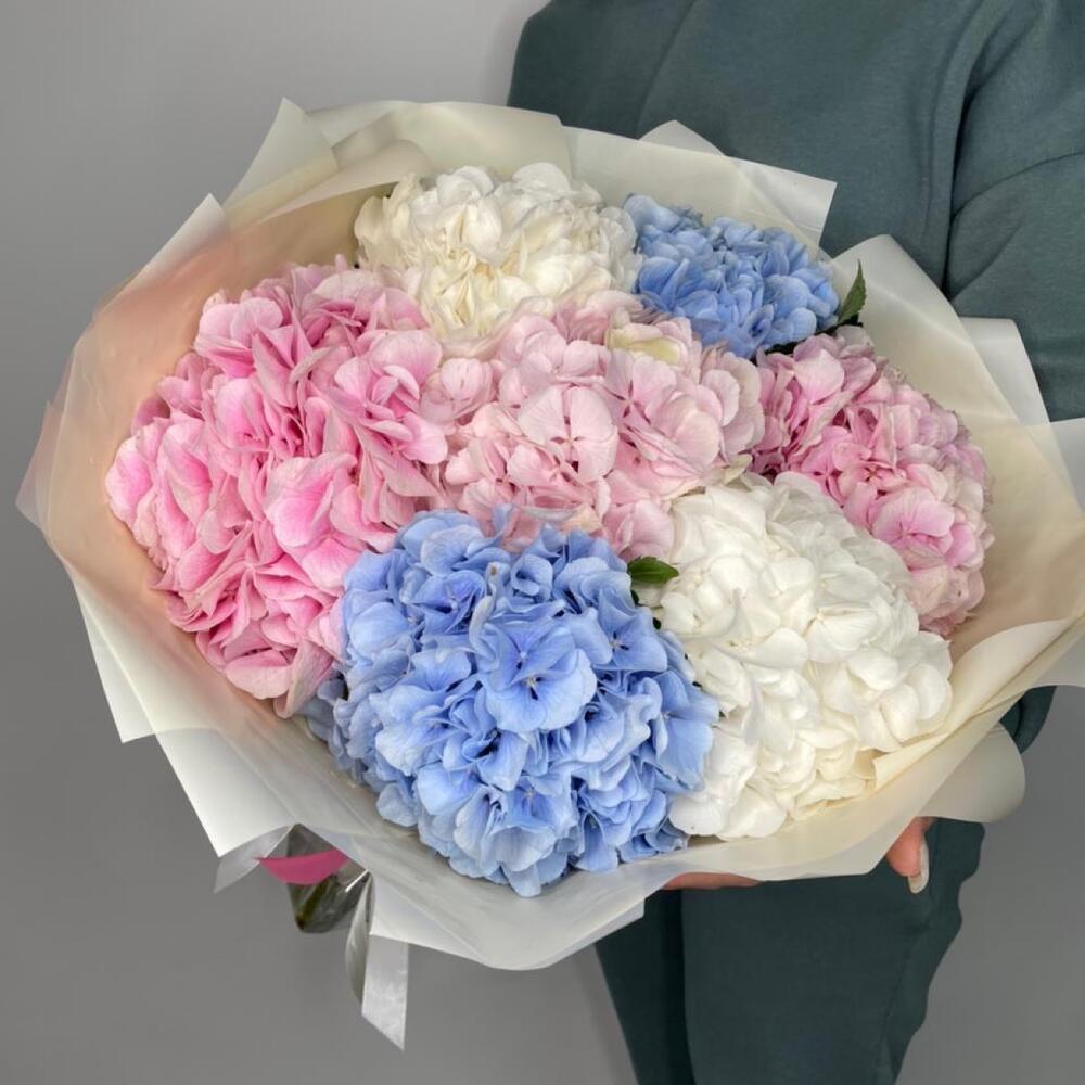 7 гортензия