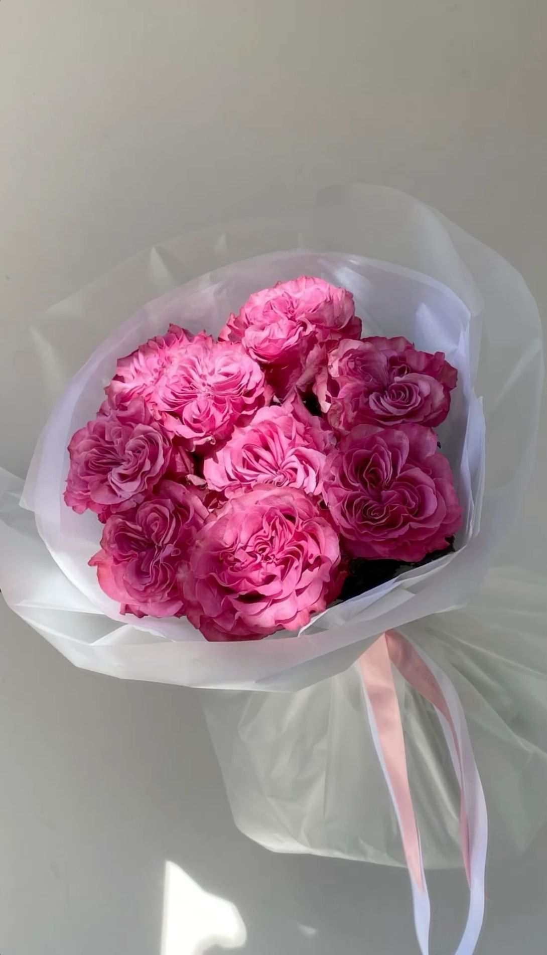 Cozy mono bouquet 🌺