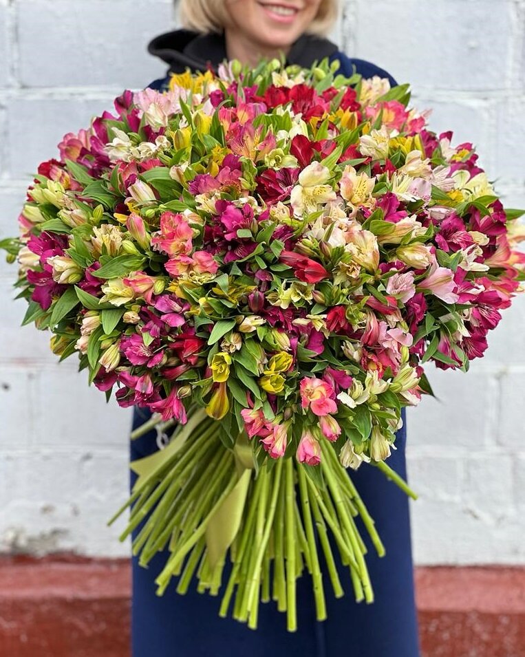 101 альстромерии