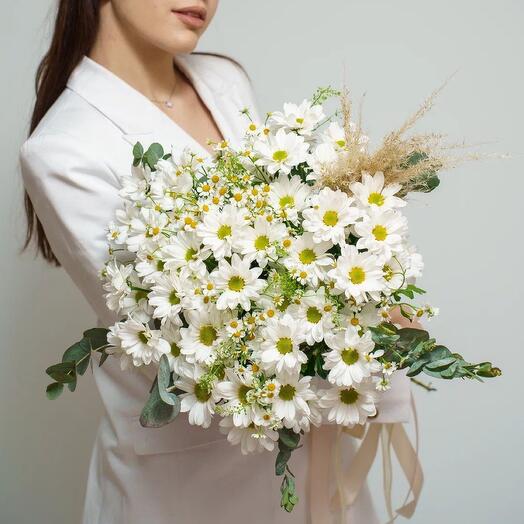 Chamomile field 🕊️