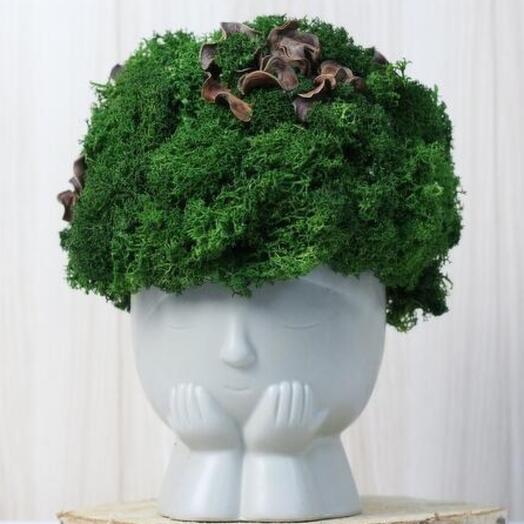 Composition with stabilized moss "Bonita"