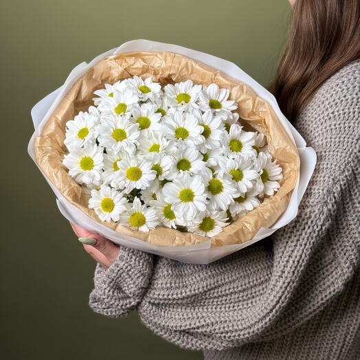 11 white bush chrysanthemums