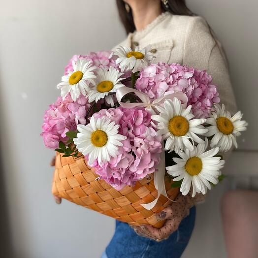 Hydrange chamomiles in the basket