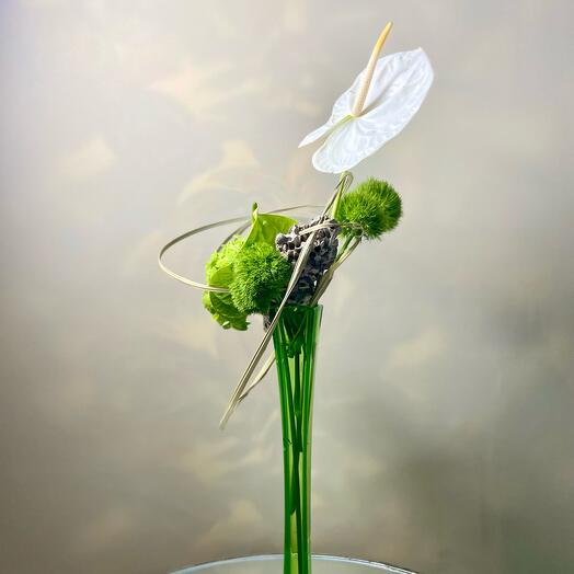 Ikebana "Orbit"