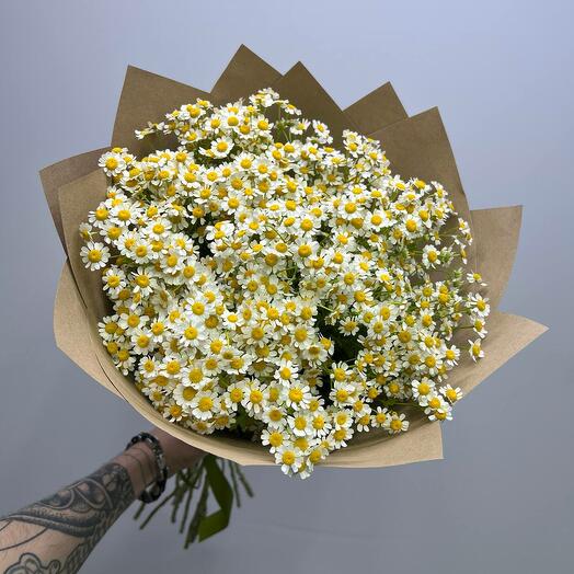 Field chamomiles in craft