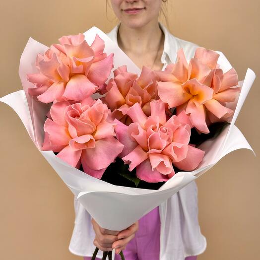 Persian French roses "Raspberry Dawn"