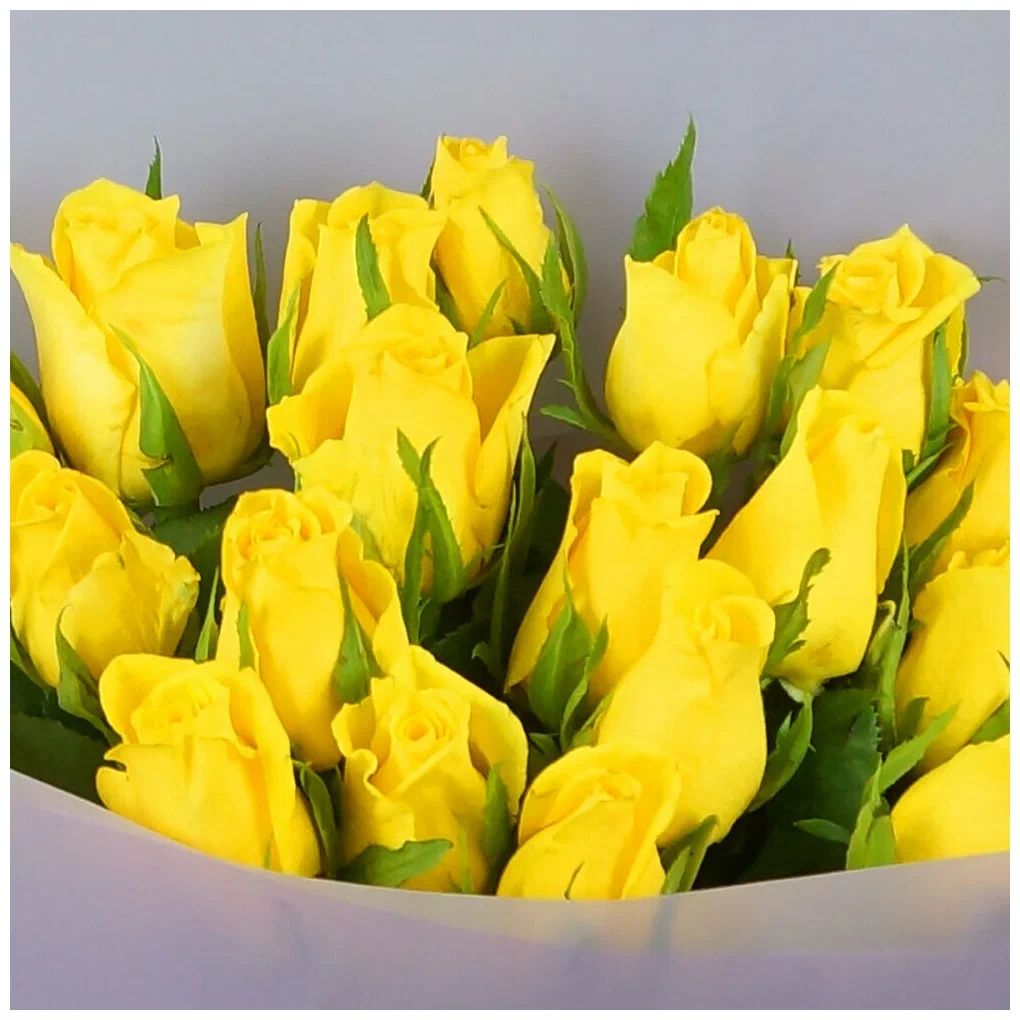 21 желтая роза