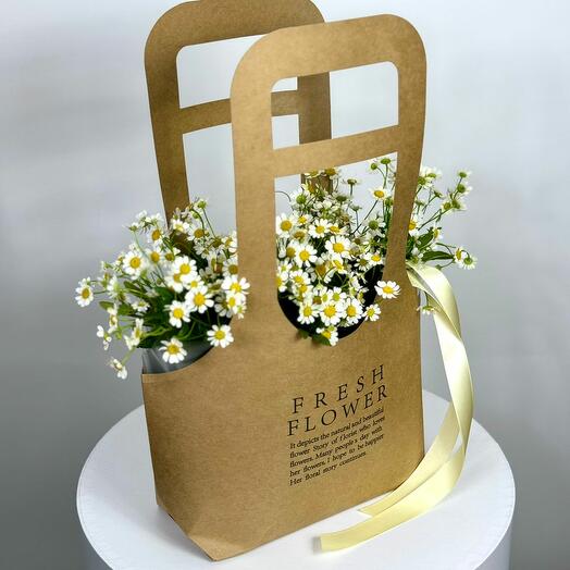 Танацетум в сумочке