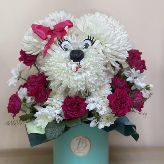 Box with flowers cute dog