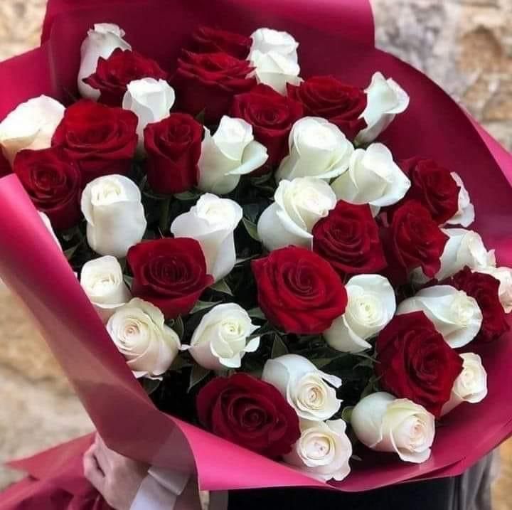 51 красная роза идеальная 💐