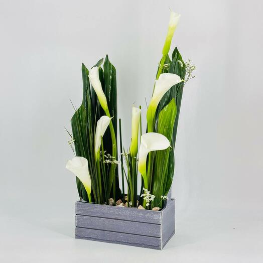 White Calla flowers in a wooden box Kashpo