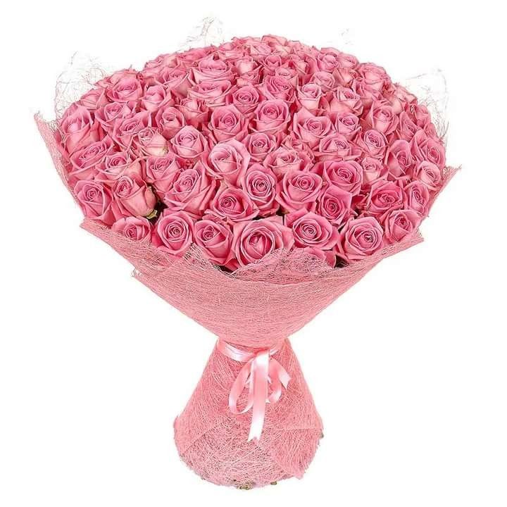 101 Pink Roses 50 cm Magnificent 💖