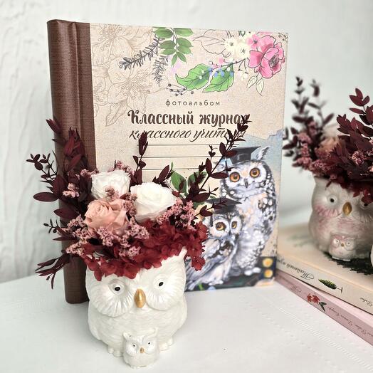 Gift set to a teacher from stabilized colors and an album / bouquet to the teacher