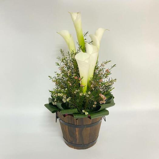 Деревянное кашпо с белыми каллами