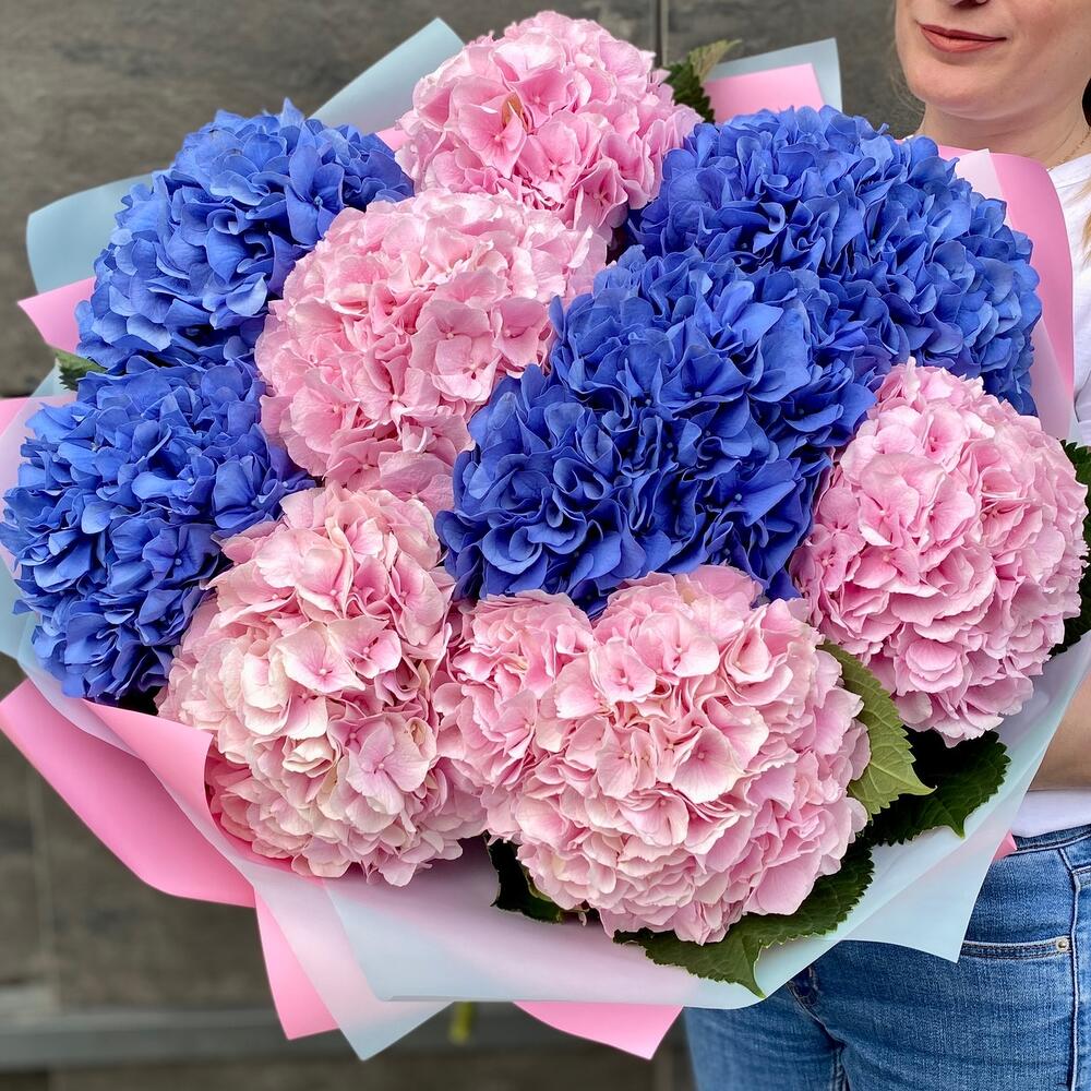 9 гортензия