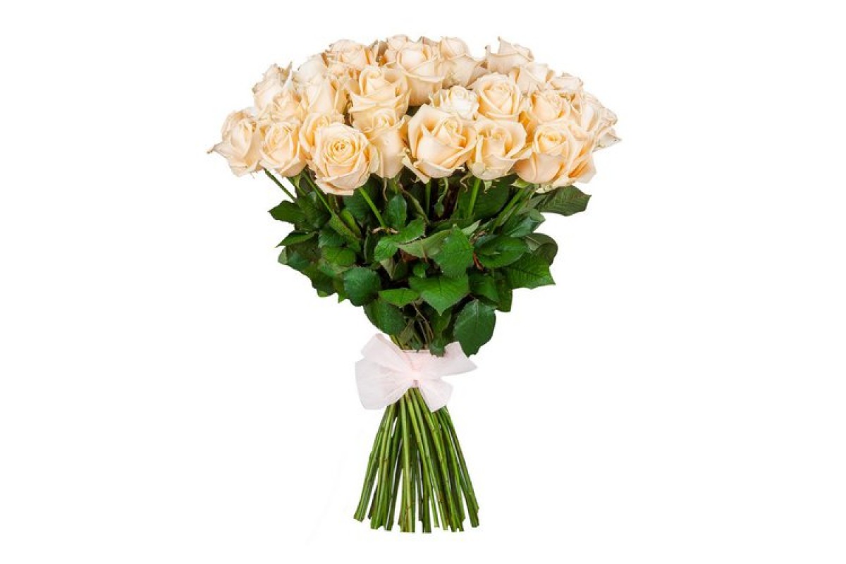 31 кремовая роза