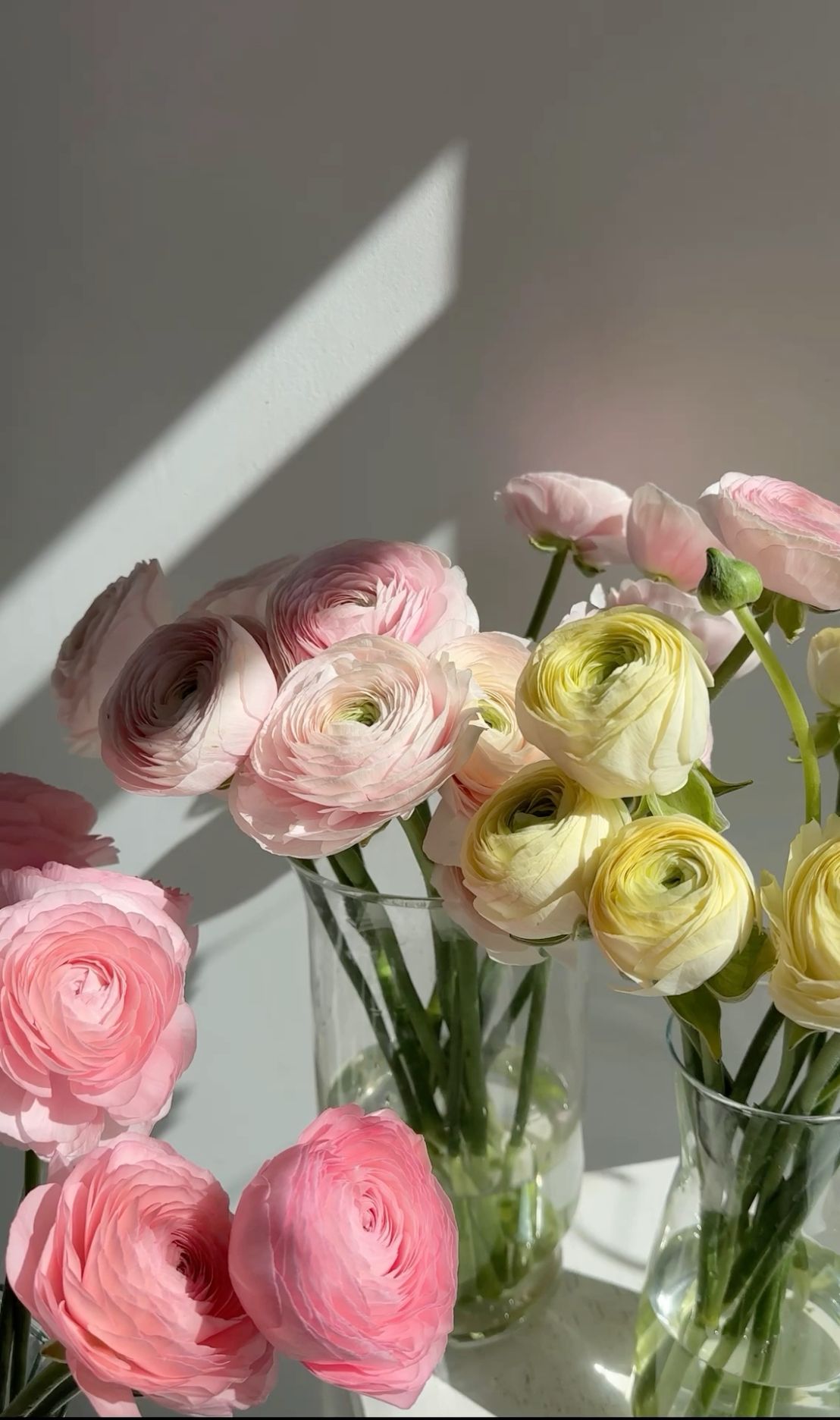 Elegant mono bouquet 💮