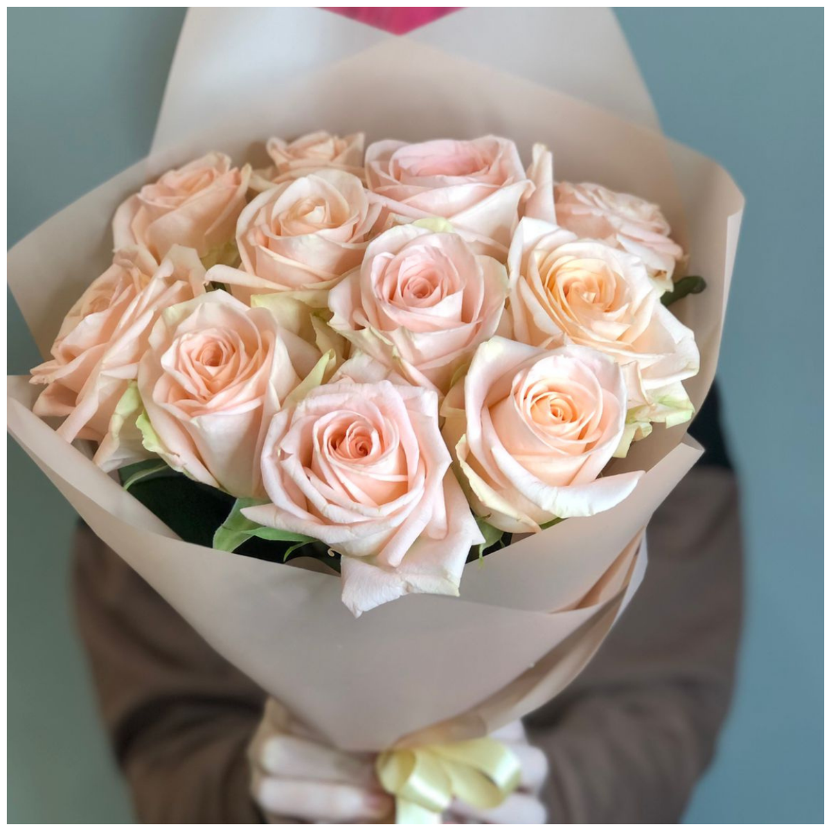 11 cream roses